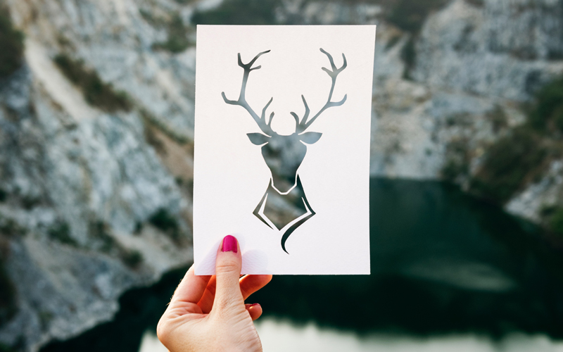 image of a deer on a paper